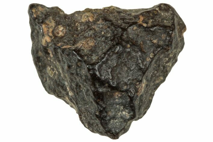 Abadla CM Chondrite Meteorite ( g) - Algeria #313055